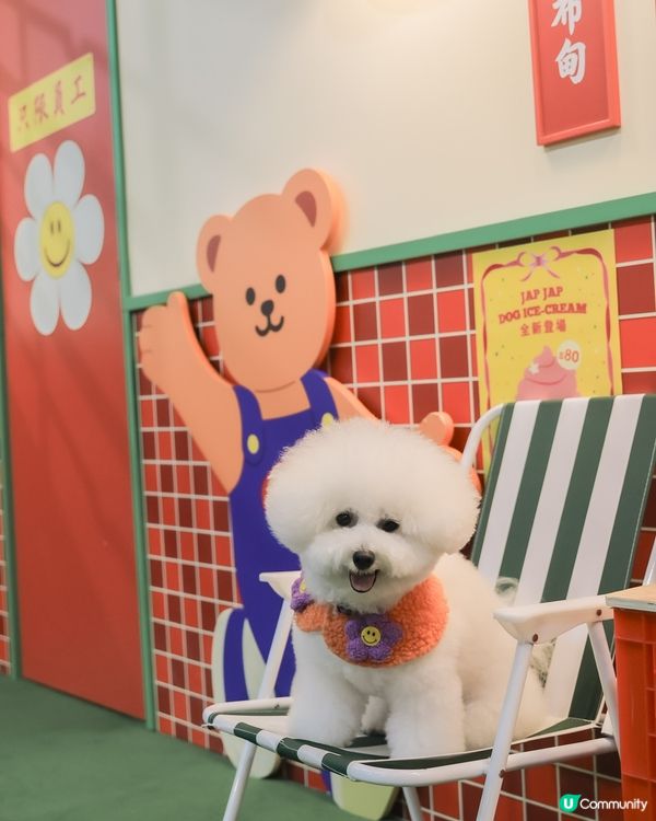 打卡韓國超火 Wiggle wiggle🌼 期間限定店