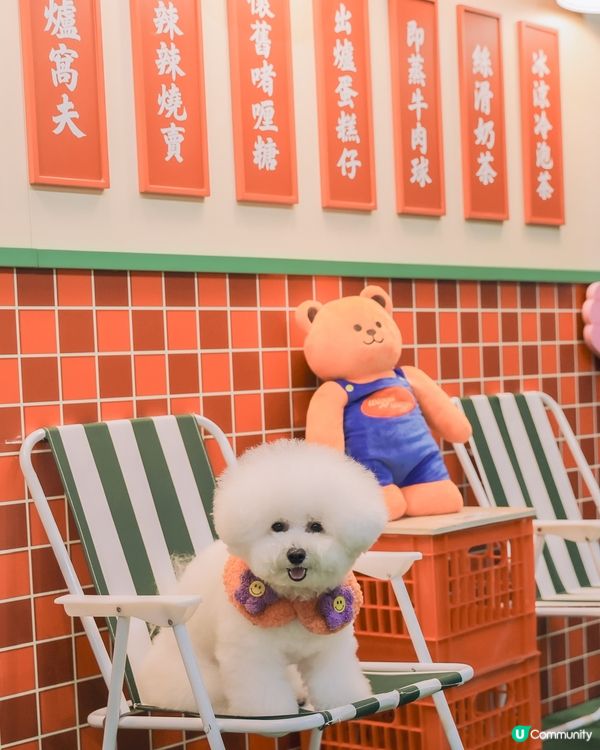 打卡韓國超火 Wiggle wiggle🌼 期間限定店