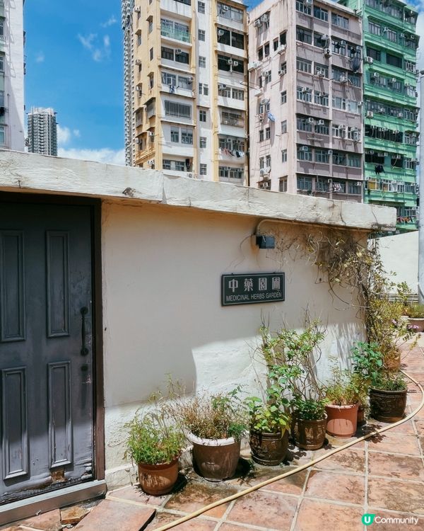 雷生春導賞團，睇古蹟學中醫 🧐！ 