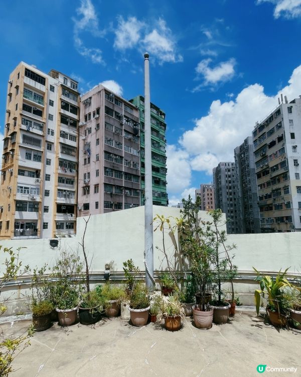 雷生春導賞團，睇古蹟學中醫 🧐！ 