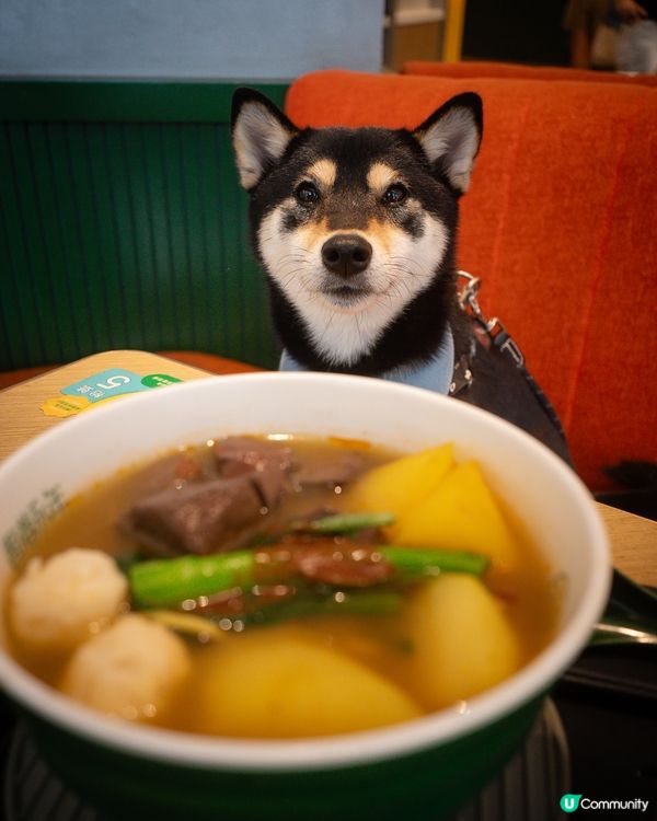 帶埋狗狗食車仔麵 🍜