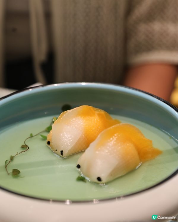 毛孩可以一齊飲茶😍