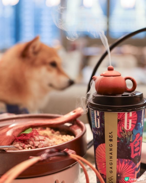 毛孩可以一齊飲茶😍