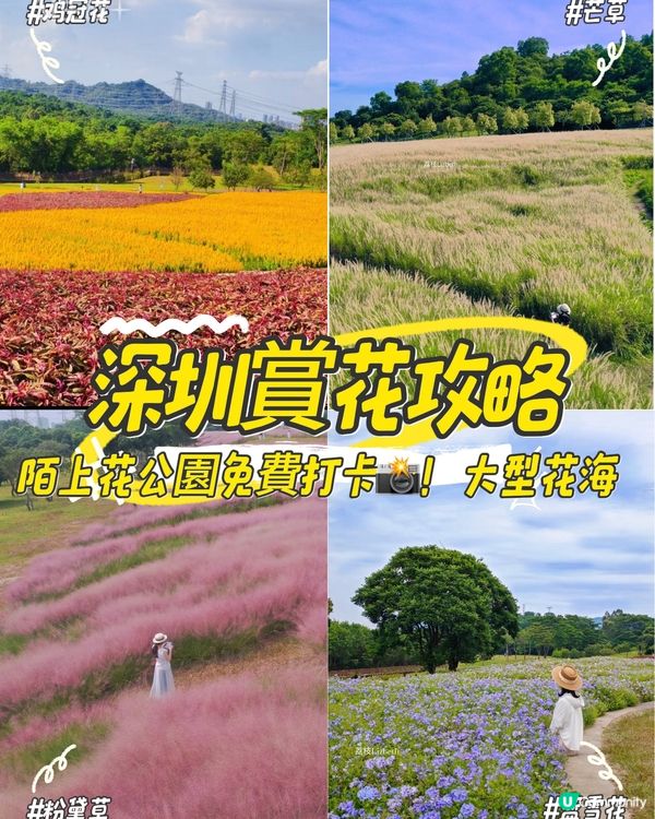 深圳國慶賞花攻略🌸！陌上花公園免費打卡📸！
