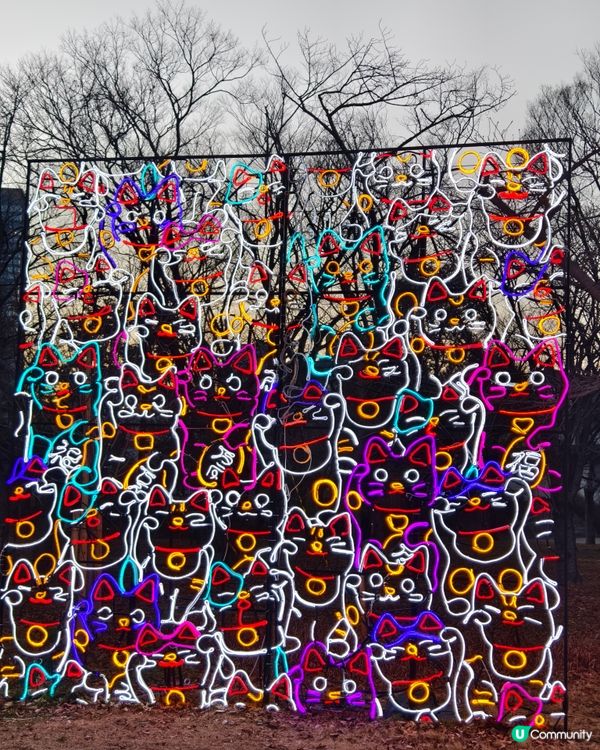 2024-2025 大阪城Illuminage