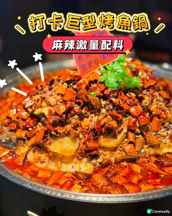 旺角巨量烤魚鍋🔥麻辣毛血旺烤清江魚😋