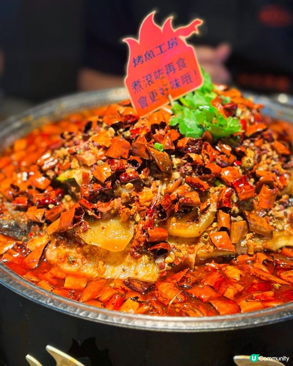 旺角巨量烤魚鍋🔥麻辣毛血旺烤清江魚😋