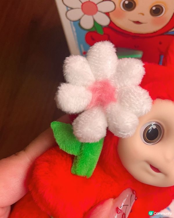 天線寶寶盲盒！小波快樂小花😍！