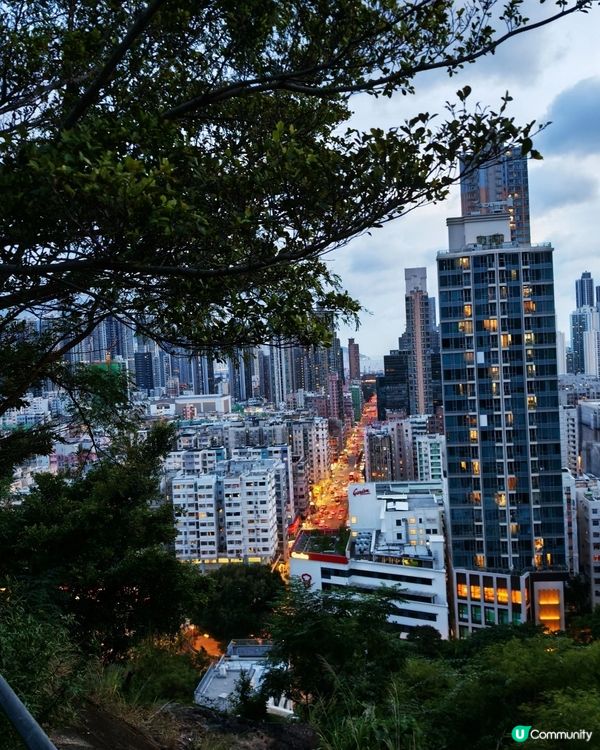 深水埗玩樂好去處