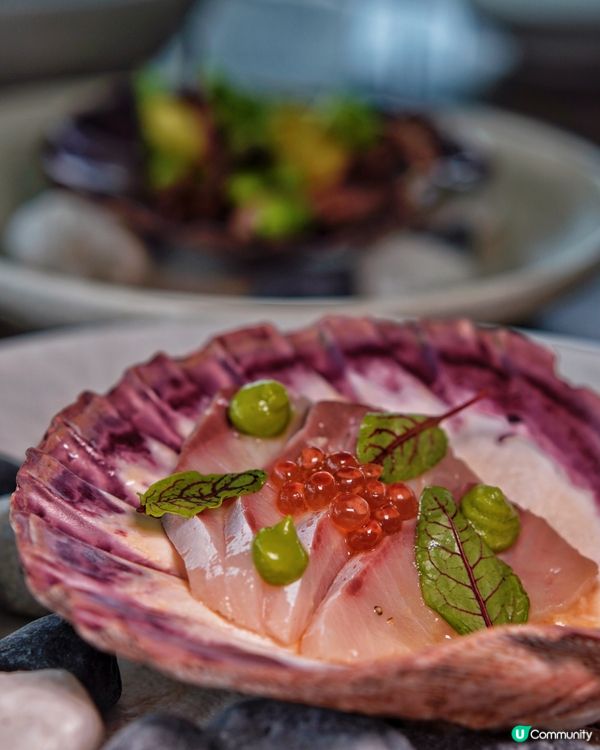 假日海景嘆世界！🌊🍽️ 270度維港靚景！