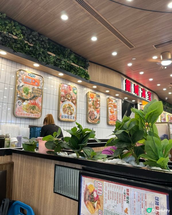 旺角龍城冰室午餐🤤！蜆肉蒸蛋飯超正！😋 #旺角美食