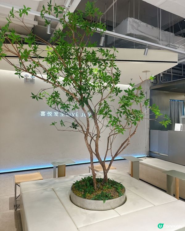 喜茶烤黑糖波波奶茶🤤！深圳東門1234商場店打卡📸！