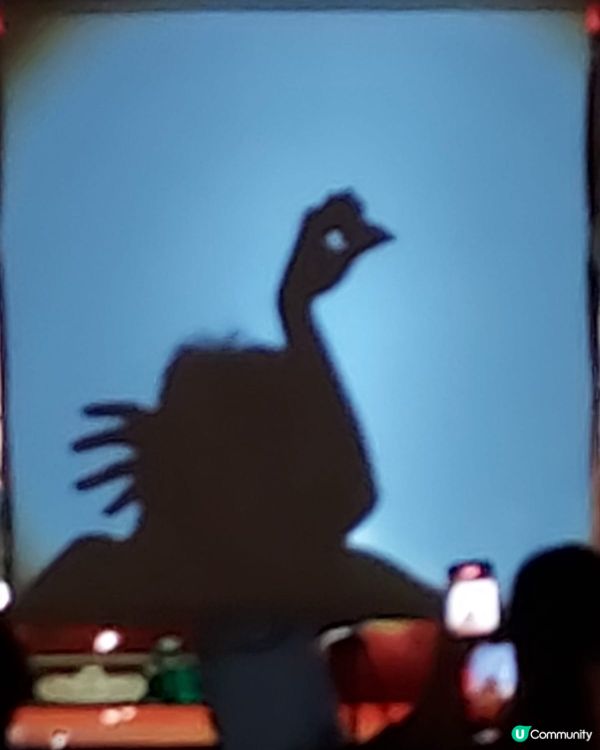 重慶手影戲必睇！🤩 睇到眼都唔眨！