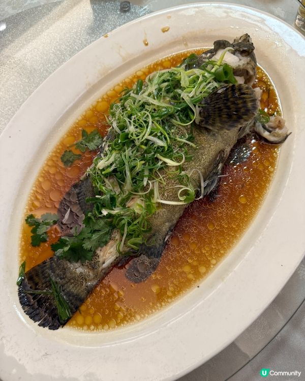 八號風球前的聚會