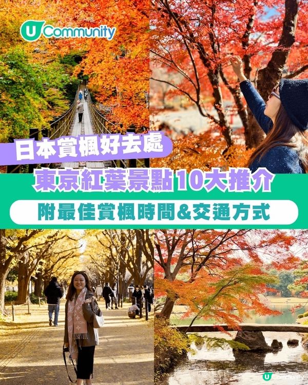 【東京紅葉2025】東京賞楓景點10選 附最佳賞楓時間&交通方式