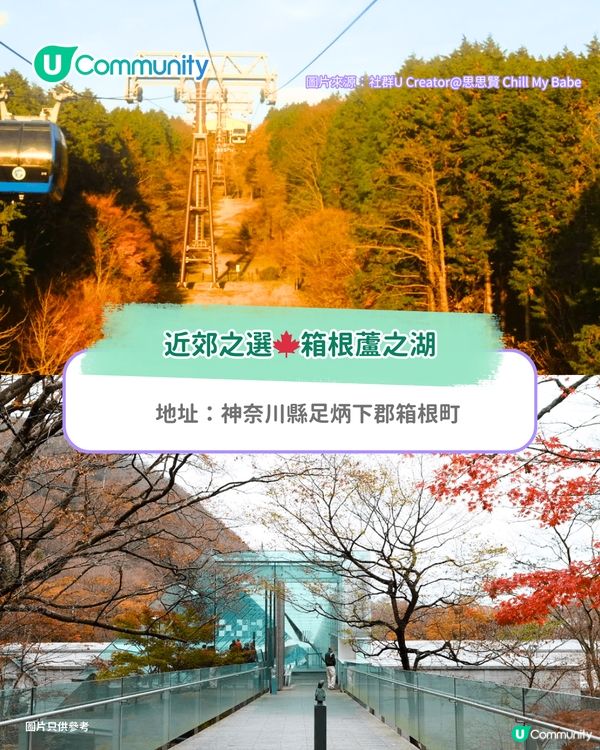 【東京紅葉2025】東京賞楓景點10選 附最佳賞楓時間&交通方式