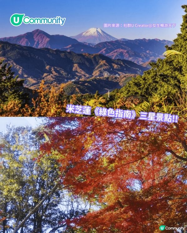 【東京紅葉2025】東京賞楓景點10選 附最佳賞楓時間&交通方式