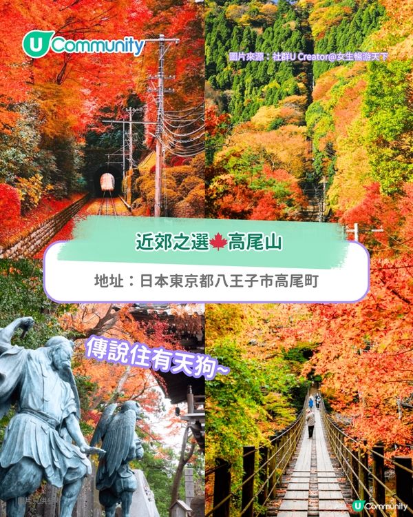 【東京紅葉2025】東京賞楓景點10選 附最佳賞楓時間&交通方式