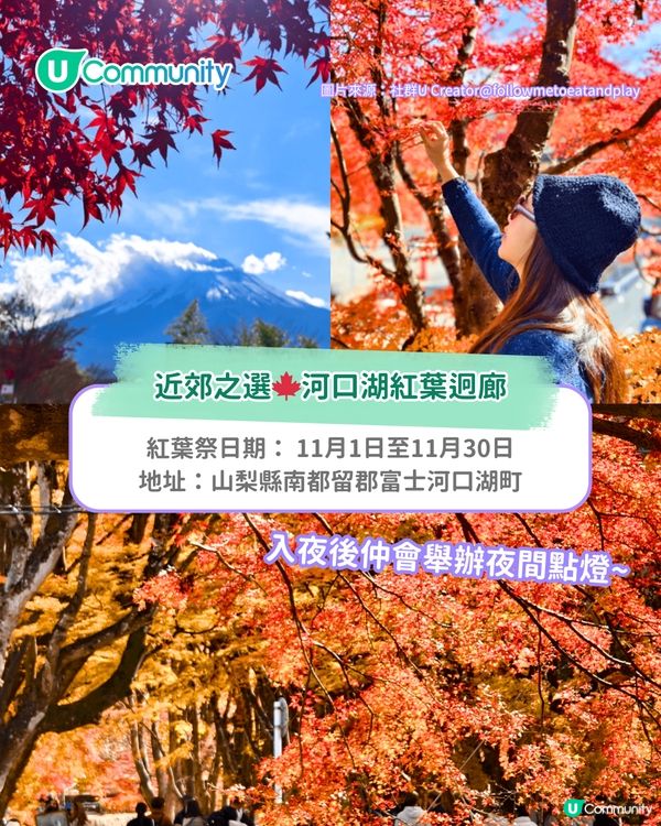 【東京紅葉2025】東京賞楓景點10選 附最佳賞楓時間&交通方式