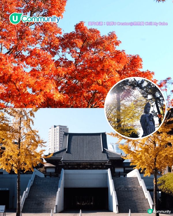 【東京紅葉2025】東京賞楓景點10選 附最佳賞楓時間&交通方式