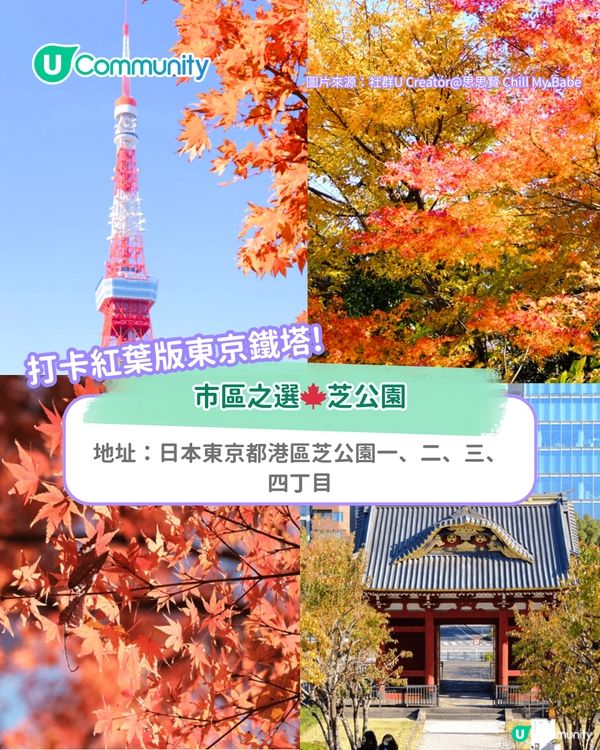【東京紅葉2025】東京賞楓景點10選 附最佳賞楓時間&交通方式