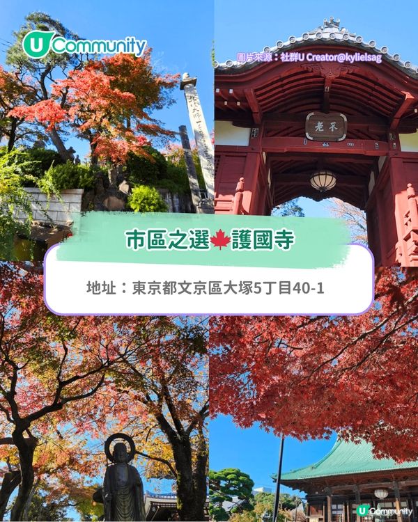 【東京紅葉2025】東京賞楓景點10選 附最佳賞楓時間&交通方式