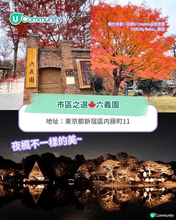 【東京紅葉2025】東京賞楓景點10選 附最佳賞楓時間&交通方式