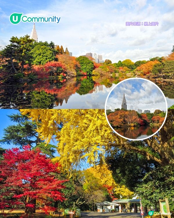 【東京紅葉2025】東京賞楓景點10選 附最佳賞楓時間&交通方式