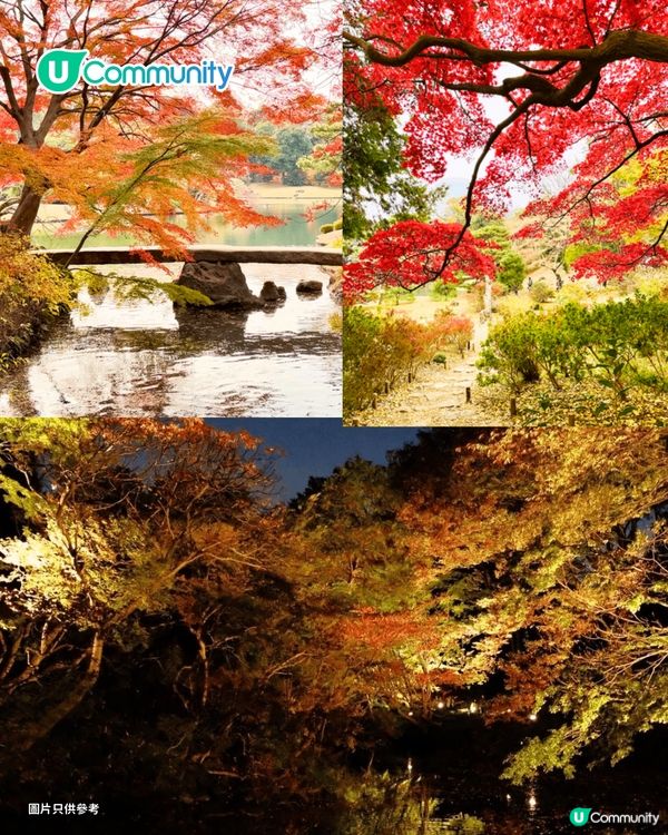 【東京紅葉2025】東京賞楓景點10選 附最佳賞楓時間&交通方式