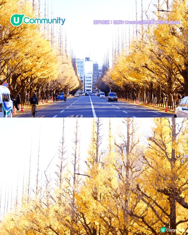 【東京紅葉2025】東京賞楓景點10選 附最佳賞楓時間&交通方式