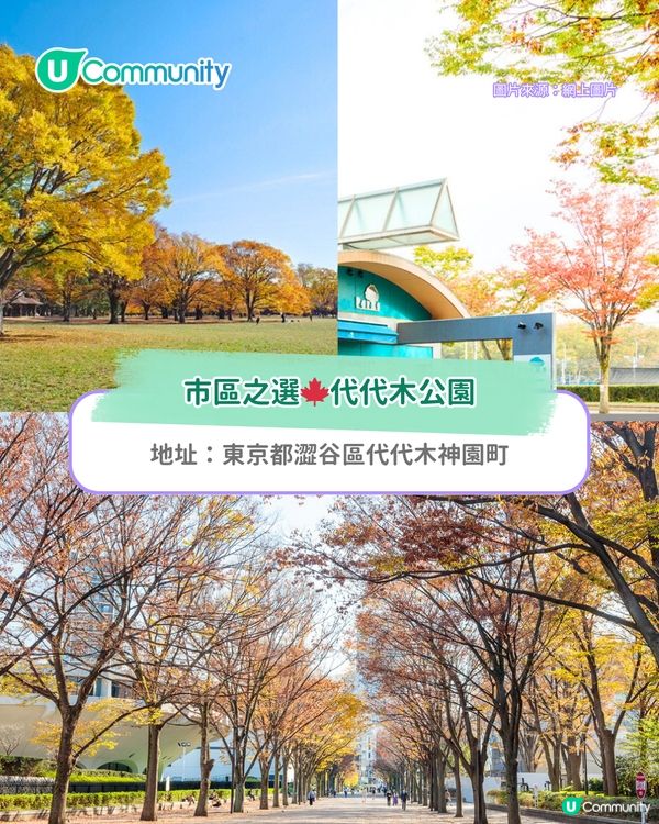 【東京紅葉2025】東京賞楓景點10選 附最佳賞楓時間&交通方式