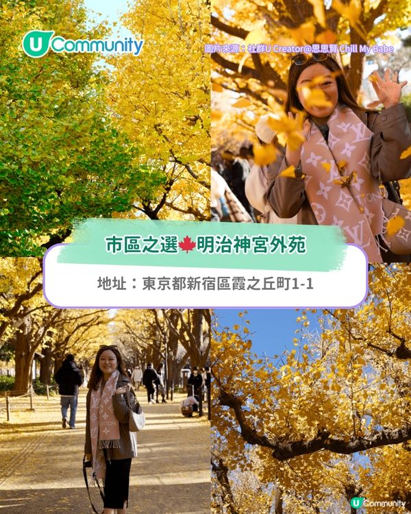 【東京紅葉2025】東京賞楓景點10選 附最佳賞楓時間&交通方式