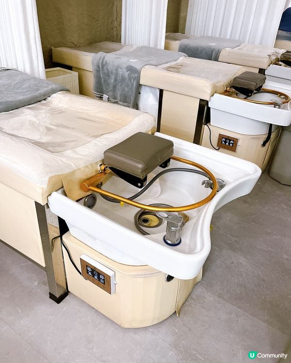 深圳頭療+貓互動推薦❗️