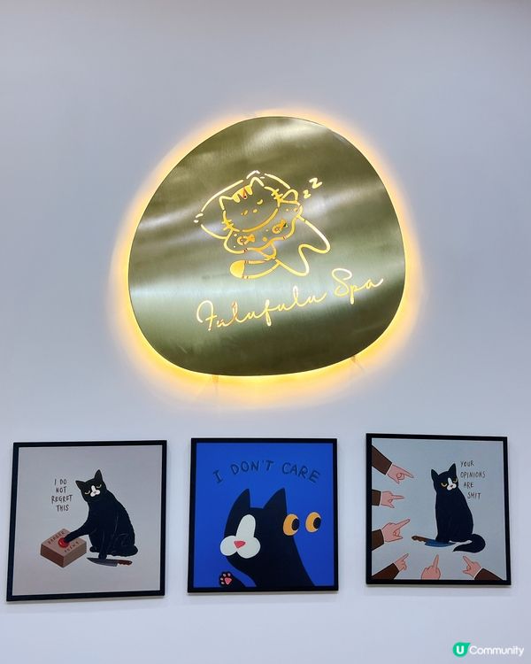 深圳頭療+貓互動推薦❗️