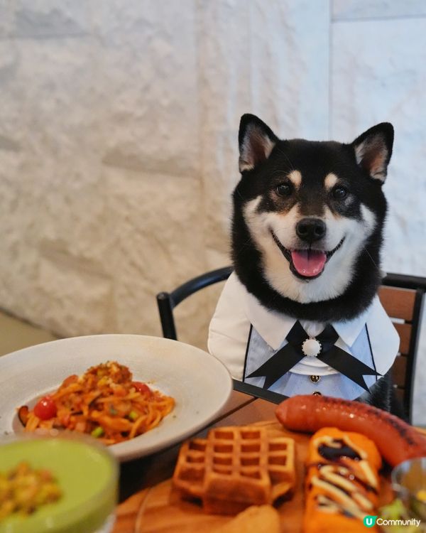 放假落雨唔怕！室內陪食😋必食開心果奶凍🤤