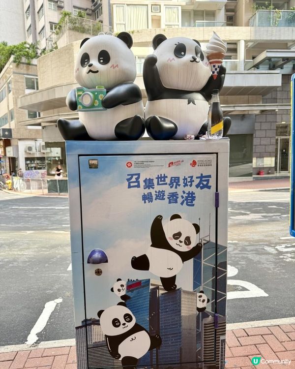 🐼🐼熊貓 - 打咭郵箱🐼🐼