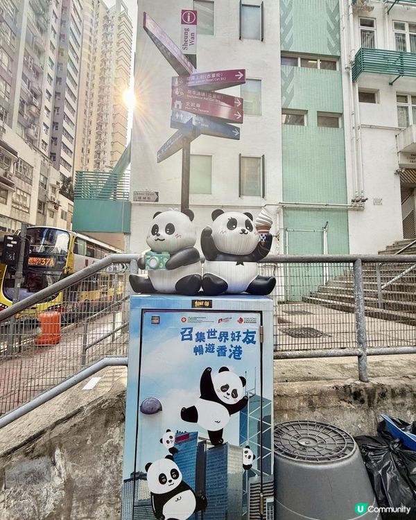 🐼🐼熊貓 - 打咭郵箱🐼🐼