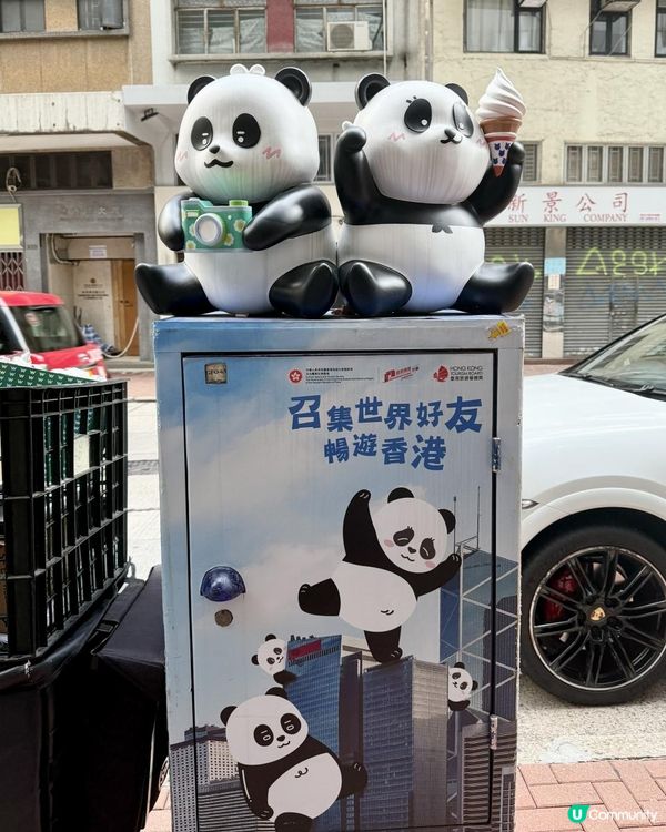 🐼🐼熊貓 - 打咭郵箱🐼🐼