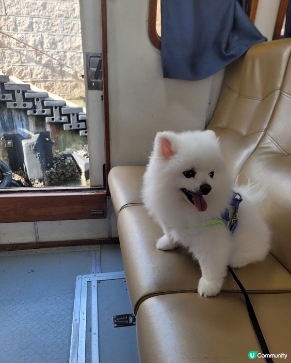 將南碼頭遊船河