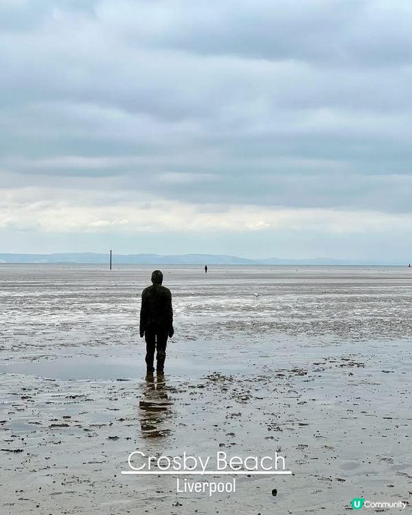 『英國』利物浦｜Crosby Beach