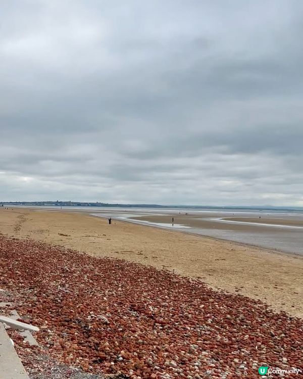 『英國』利物浦｜Crosby Beach