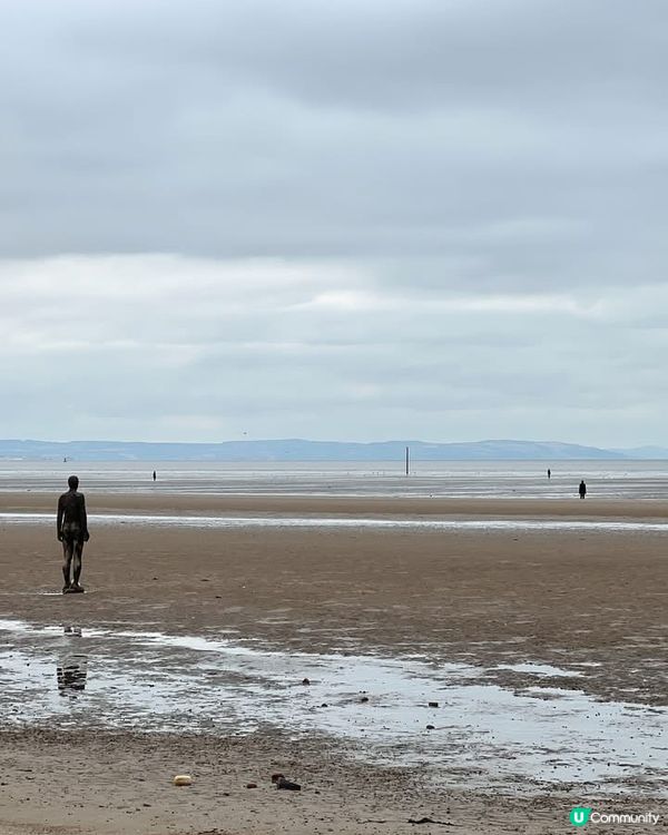 『英國』利物浦｜Crosby Beach