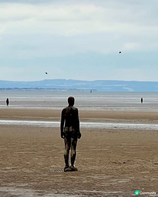 『英國』利物浦｜Crosby Beach