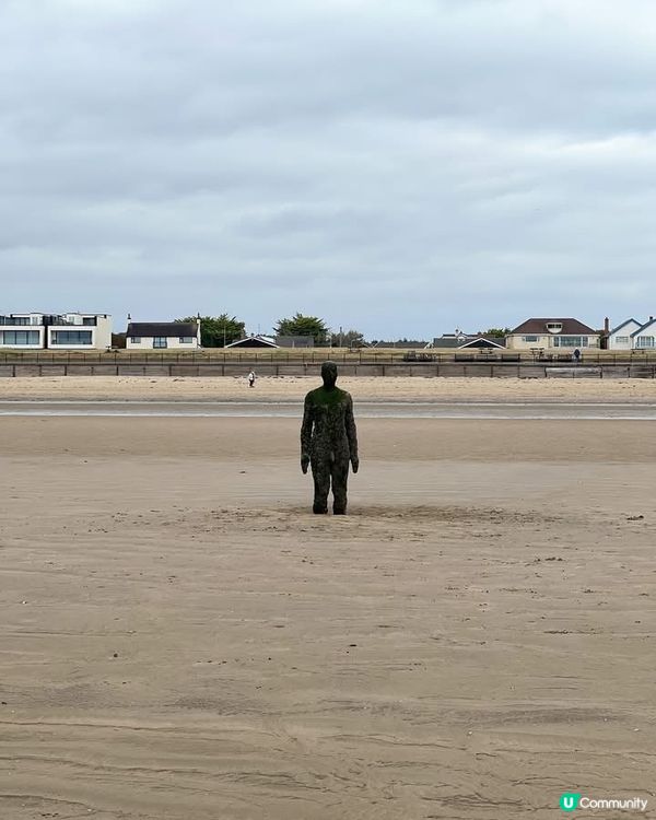『英國』利物浦｜Crosby Beach