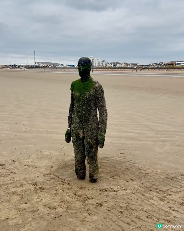 『英國』利物浦｜Crosby Beach