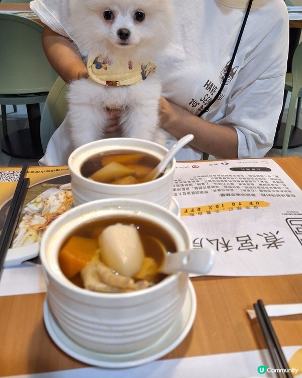 今日撐枱腳！煮宮蒸飯套餐😋