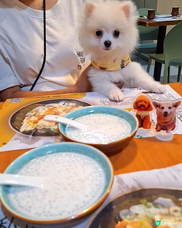 今日撐枱腳！煮宮蒸飯套餐😋