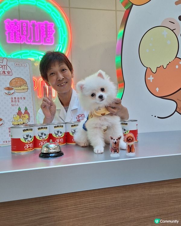 心心店長一日遊！萌兔冰室開張🐰💖