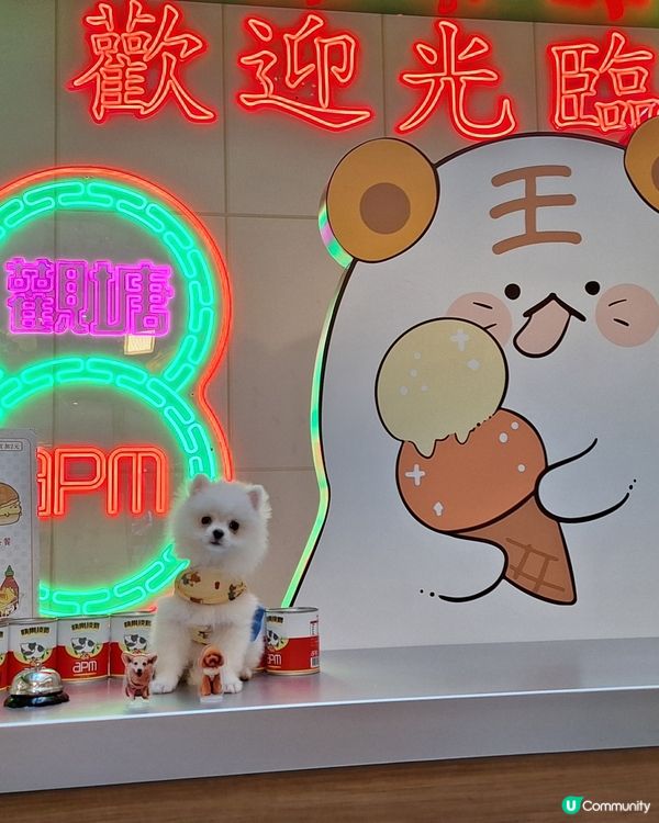 心心店長一日遊！萌兔冰室開張🐰💖