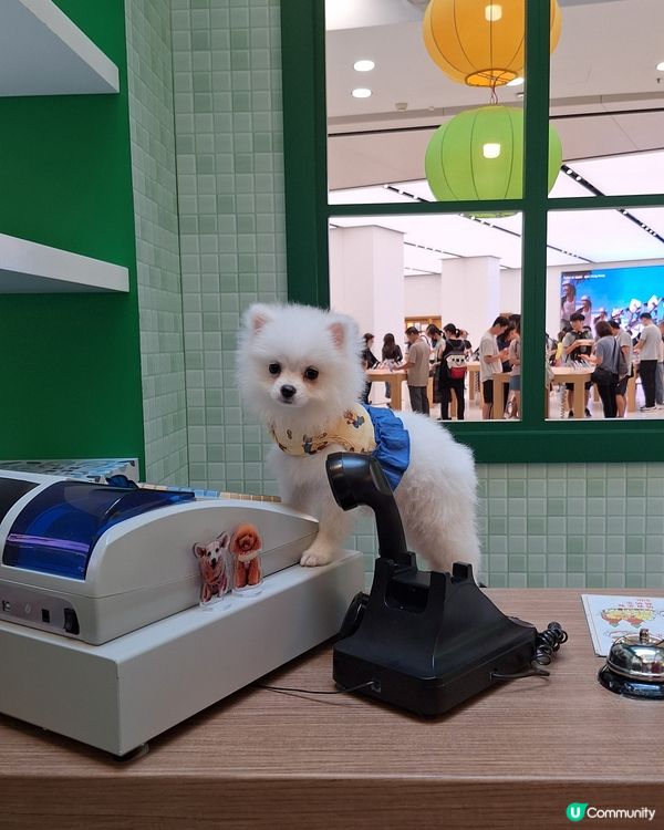 心心店長一日遊！萌兔冰室開張🐰💖